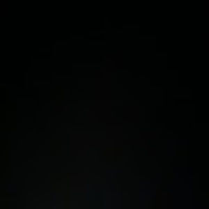 Meet your Posher, Joey